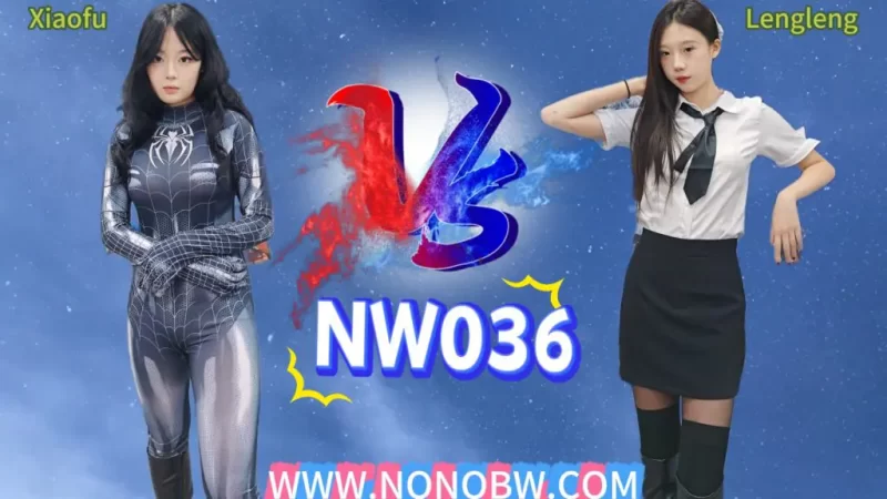 NW036-格斗艺术