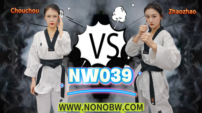 NW039-格斗艺术