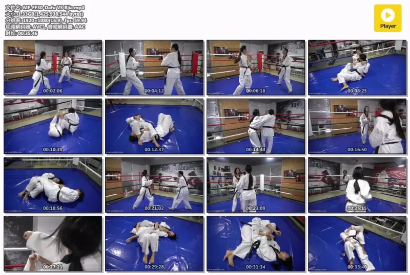 MF-FF30-Dafu VS Bjia-格斗艺术