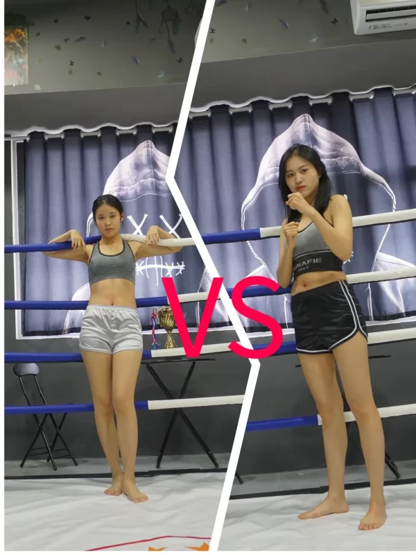 SD-F007 jiangjiang VS jiujiu-格斗艺术
