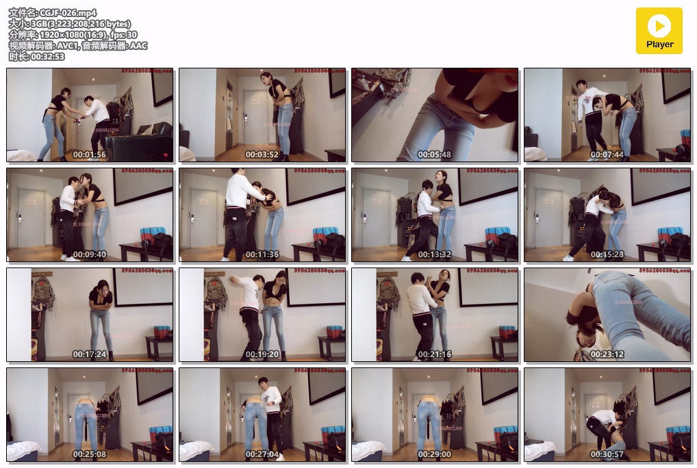 CGJF-026-格斗艺术