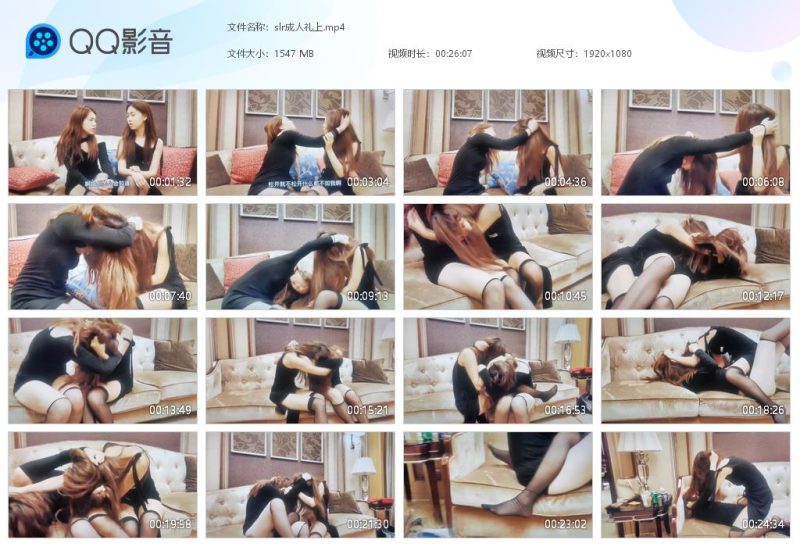 slr成人礼 上-格斗艺术