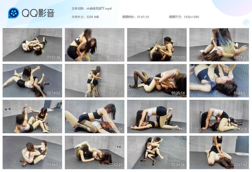 slr前任风波下-格斗艺术