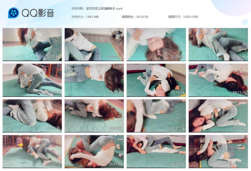 室友风波上-格斗艺术