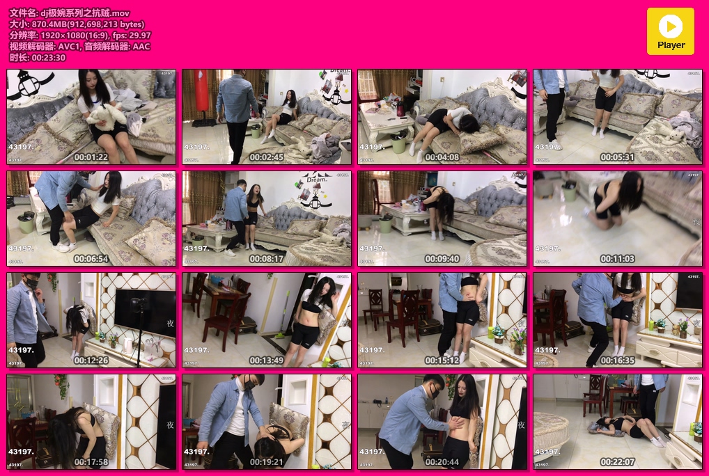 dj极婉系列之抗贼-格斗艺术