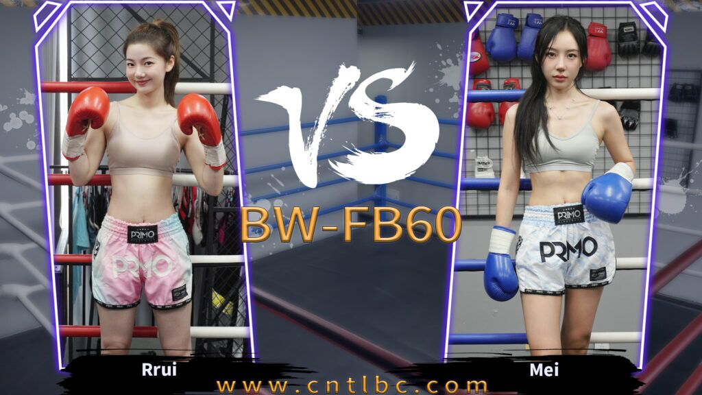 BW-FB60-格斗艺术