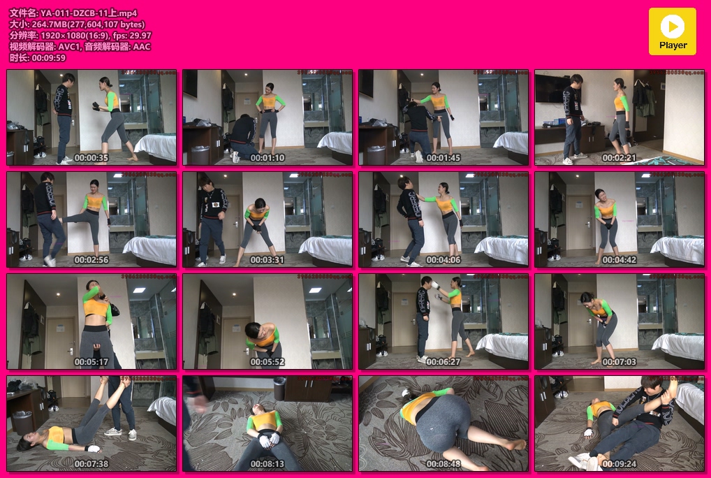 YA-011-DZCB-11上-格斗艺术