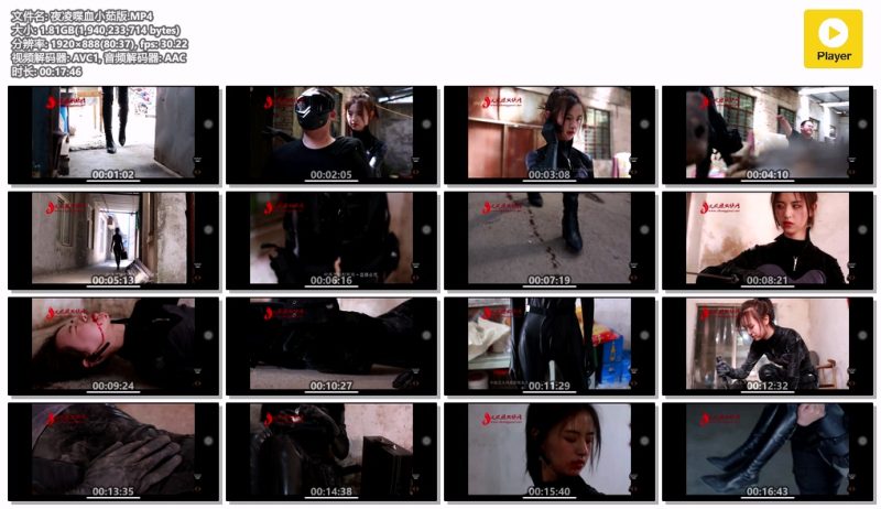 夜凌喋血小茹版-格斗艺术