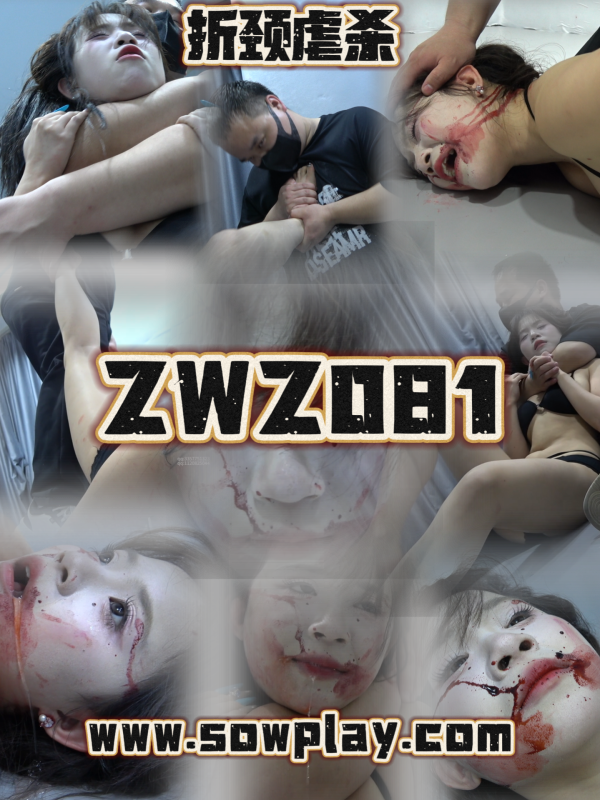Z081 jiujiu fuyaoVS awjn-格斗艺术